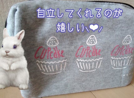 3段式クリアーケース/DAISO/その他化粧小物を使ったクチコミ(4枚目)