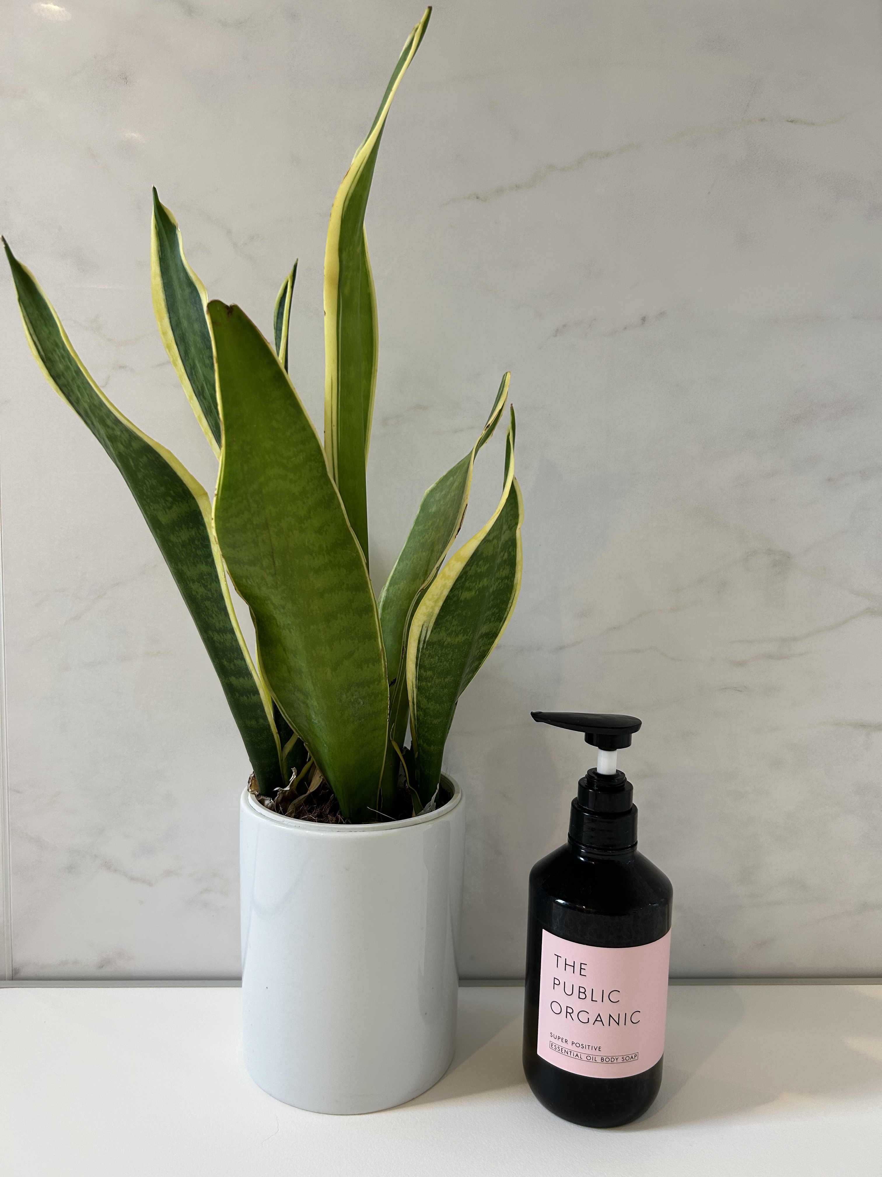 スーパーポジティブDMボディソープ/THE PUBLIC ORGANIC/ボディソープを使ったクチコミ（2枚目）