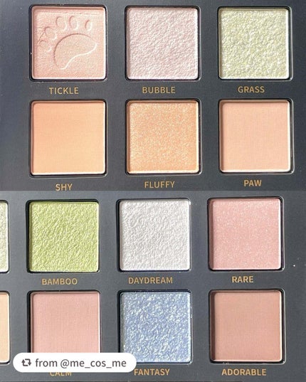 エクスプローラ12色 動物アイシャドウパレット/PERFECT DIARY/アイシャドウパレットを使ったクチコミ(3枚目)