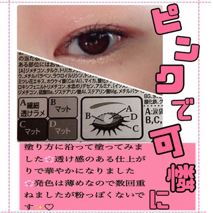 シルキースフレアイズ(マットタイプ)/キャンメイク/アイシャドウパレットを使ったクチコミ(5枚目)