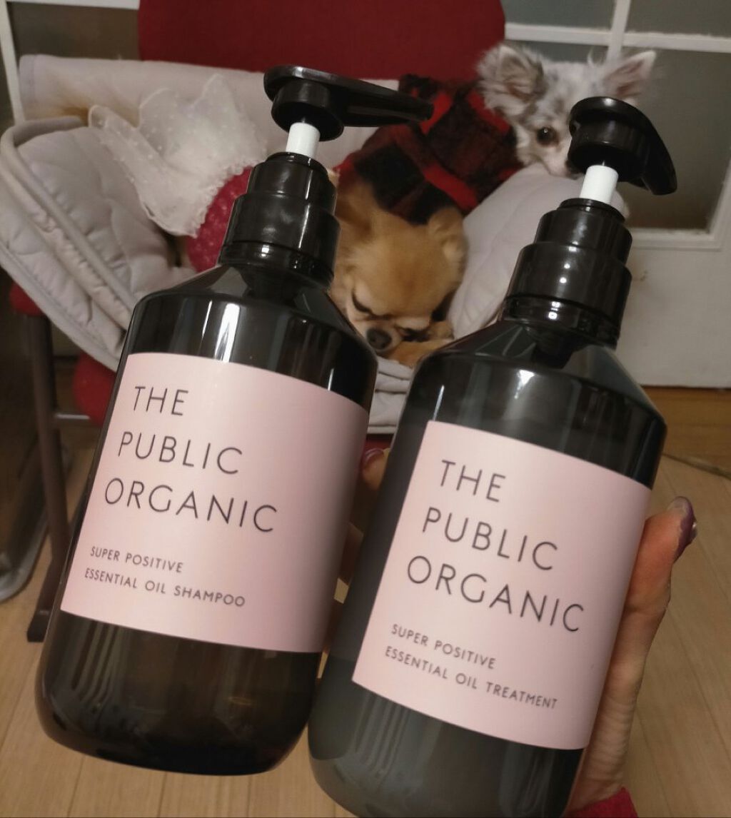 スーパーポジティブダメージRシャンプー／Rトリートメント/THE PUBLIC ORGANIC/市販シャンプーを使ったクチコミ（1枚目）