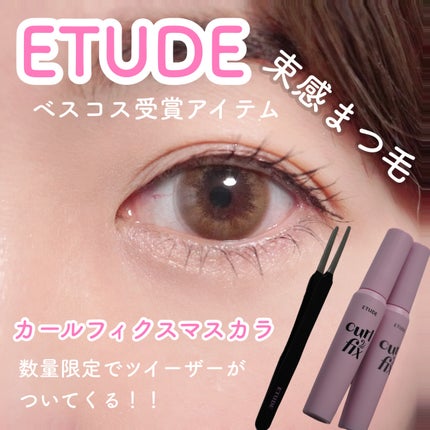 カールフィックスマスカラ/ETUDE/マスカラを使ったクチコミ(1枚目)