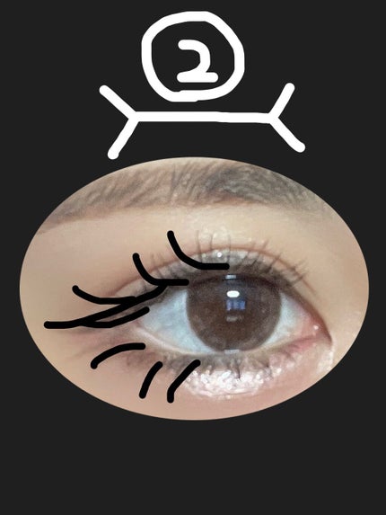 ブルベかもしれないイエベちゃん on LIPS 「良く見るこの矢印‼️この錯覚をメイクに応用出来るんです😍‼️(..」(3枚目)