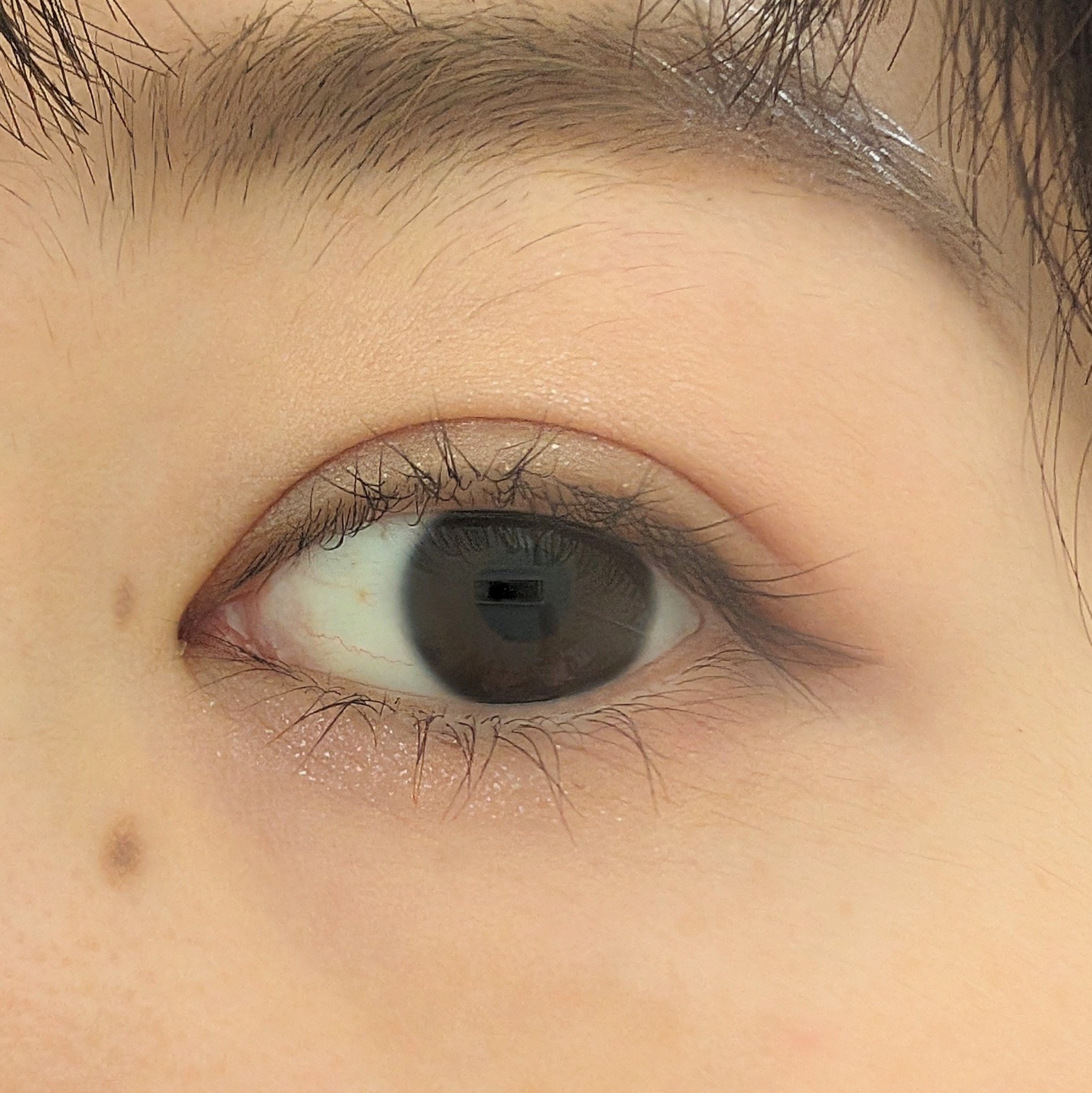 ベージュトーンアイシャドウ/CEZANNE/アイシャドウパレットを使ったクチコミ（2枚目）