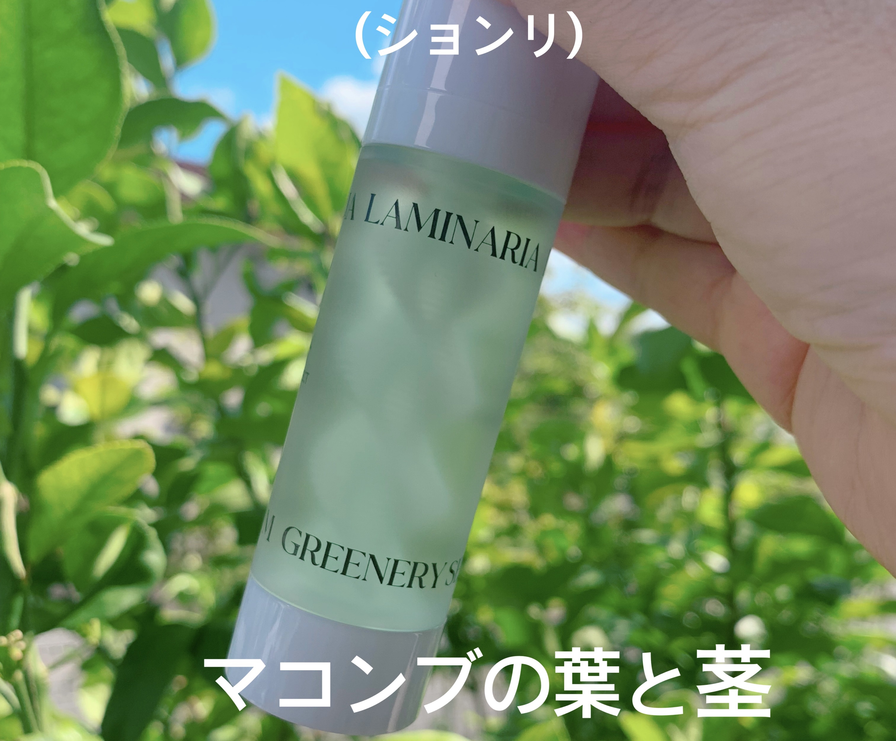 ラミナリア グリナリーセラム/ShionLe/美容液を使ったクチコミ（2枚目）