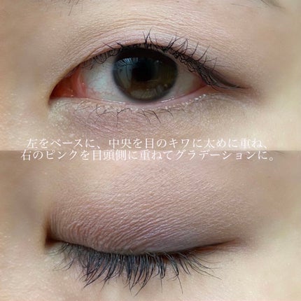 アイパレット/ナチュラグラッセ/アイシャドウパレットを使ったクチコミ(6枚目)