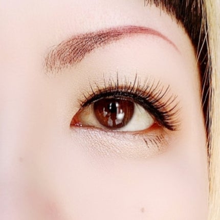 ベージュトーンアイシャドウ/CEZANNE/アイシャドウパレットを使ったクチコミ(6枚目)