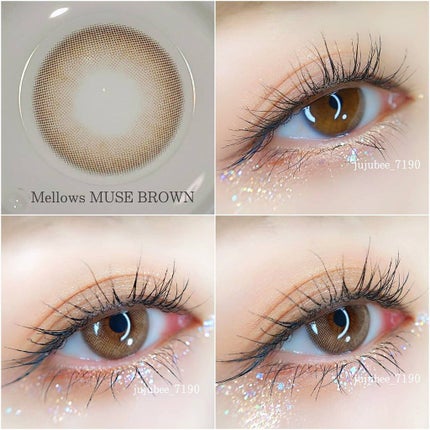メローズワンデーミューズブラウン(Mellows 1day Muse Brown)/OLOLA/ワンデー(1DAY)カラコンを使ったクチコミ(3枚目)