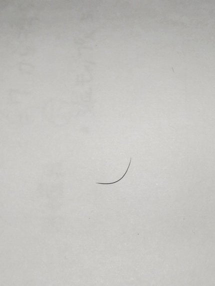 を使ったクチコミ(2枚目)