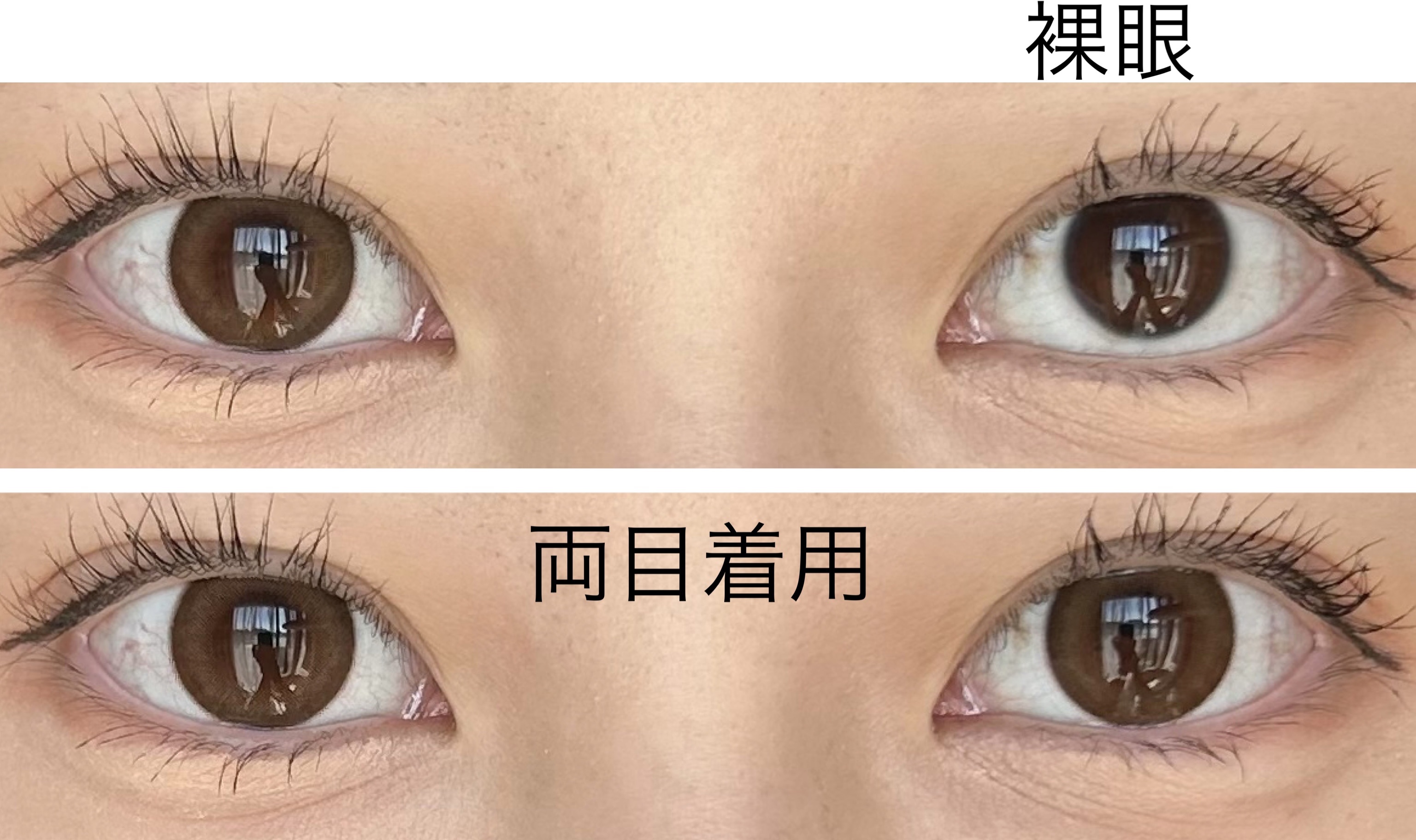 melotte 1day シークレットベア/melotte/ワンデー（１DAY）カラコンを使ったクチコミ（2枚目）