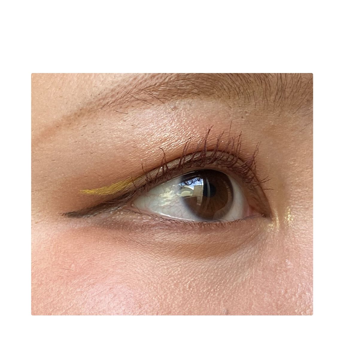 3Dプロデュースシャドウ/KATE/アイシャドウパレットを使ったクチコミ（3枚目）