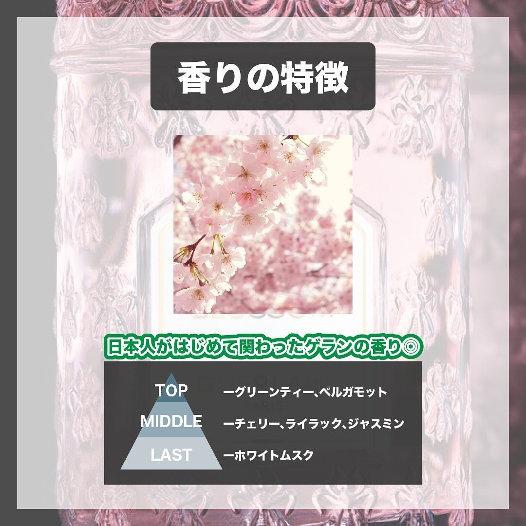 チェリーブロッサム オードトワレ/L'OCCITANE/香水(レディース)を使ったクチコミ(3枚目)