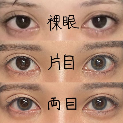 TOPARDS 1day/TOPARDS/ワンデー(1DAY)カラコンを使ったクチコミ(2枚目)