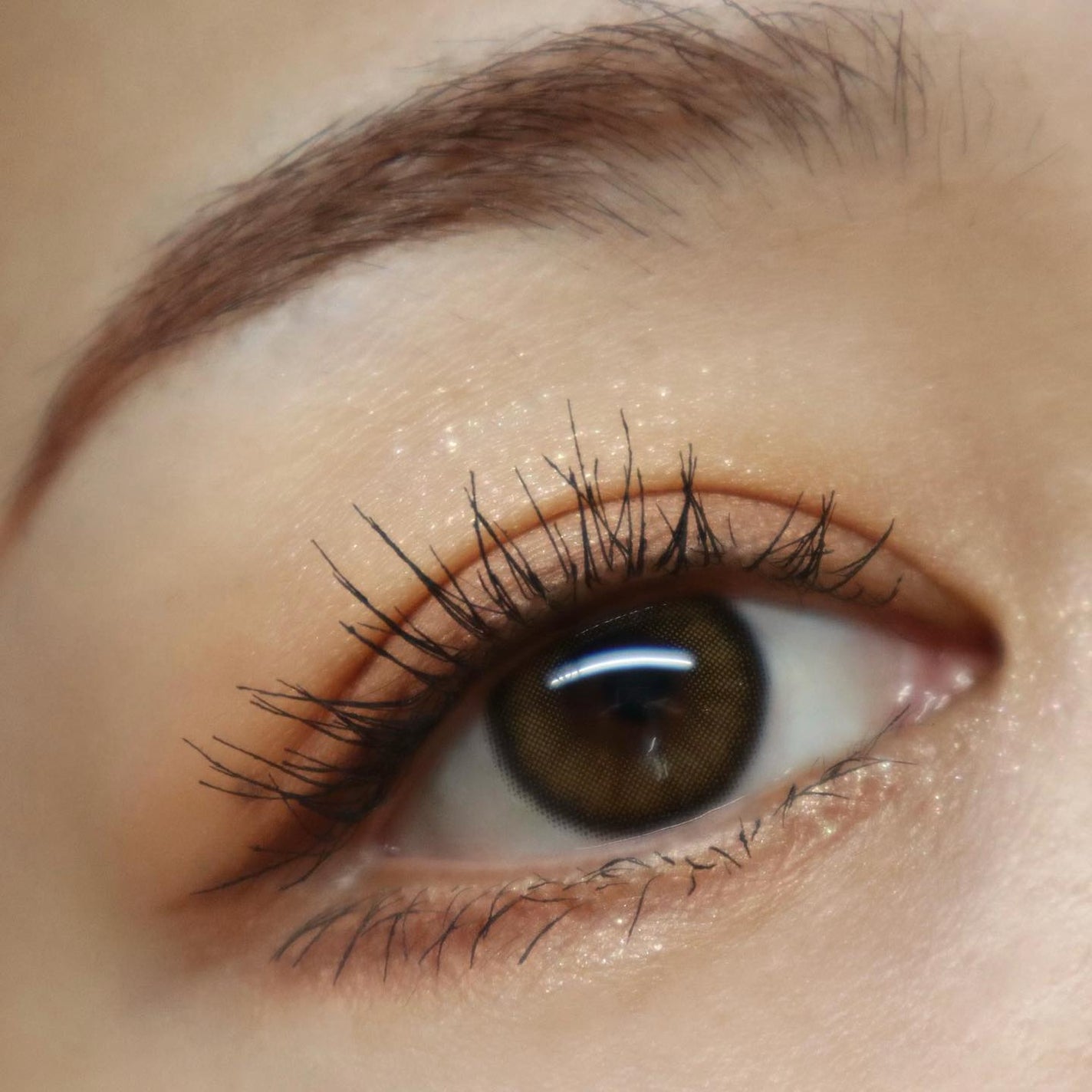 ベージュトーンアイシャドウ/CEZANNE/アイシャドウパレットを使ったクチコミ(7枚目)