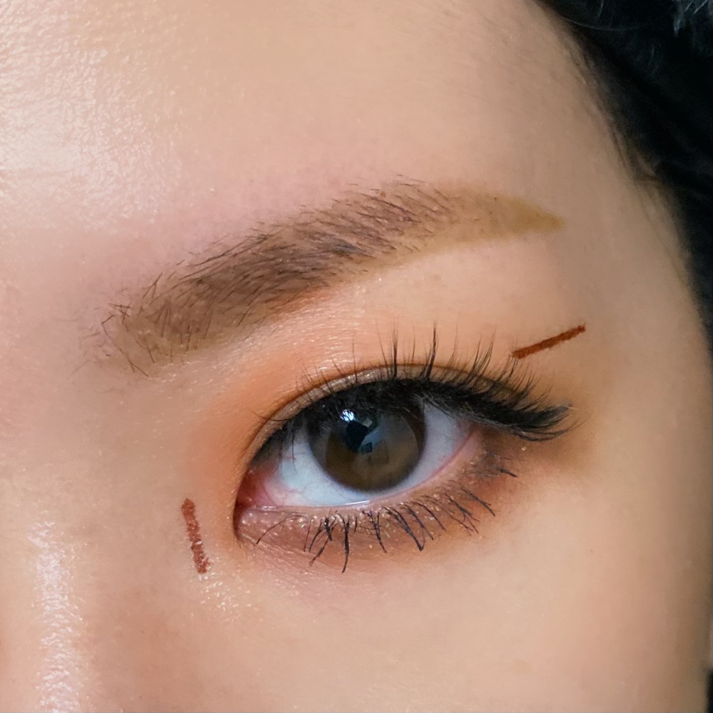 エクスプローラ12色 動物アイシャドウパレット/PERFECT DIARY/アイシャドウパレットを使ったクチコミ（3枚目）