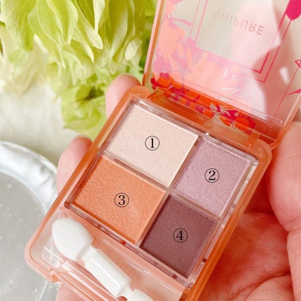 グラデーション アイシャドウ/ちふれ/アイシャドウパレットを使ったクチコミ(5枚目)