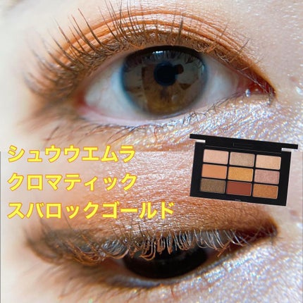 クロマティックス バロック ゴールド/shu uemura/アイシャドウパレットを使ったクチコミ(1枚目)