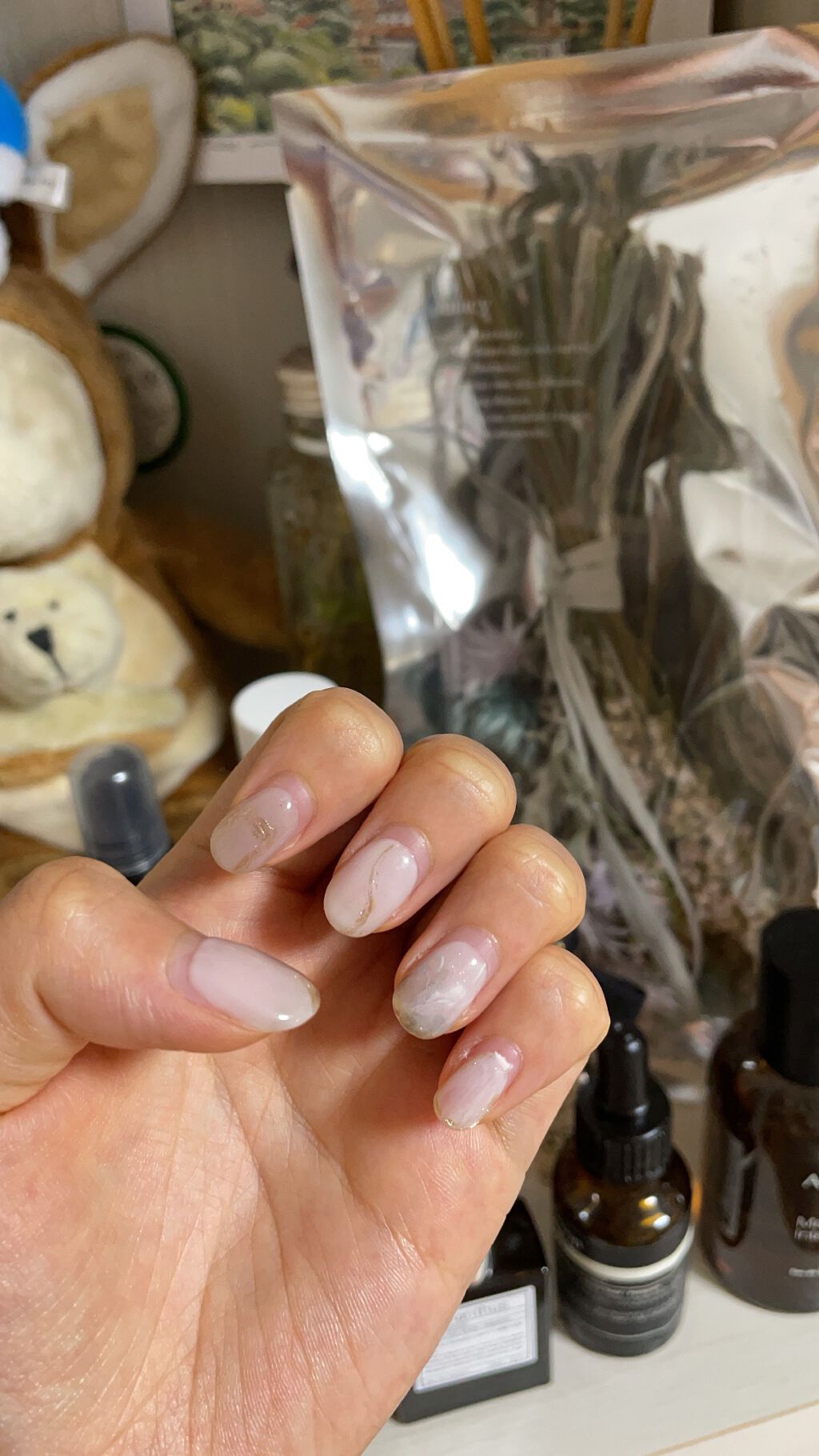 シア ネイルオイル/L'OCCITANE/ネイルオイル・トリートメントを使ったクチコミ(1枚目)