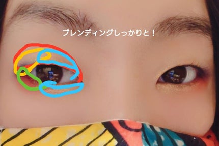 アリスドリームランドシリーズ 12色アイシャドウパレット(ZEESEA×大英博物館)/ZEESEA/アイシャドウパレットを使ったクチコミ(5枚目)