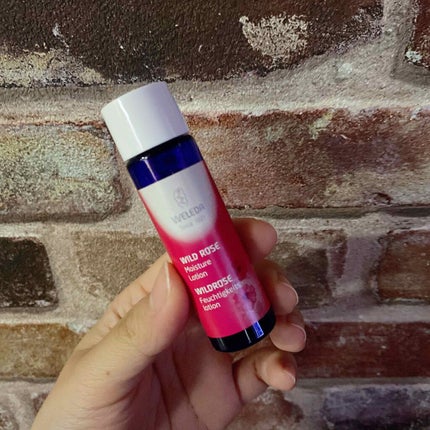 ワイルドローズ モイスチャーローション/WELEDA/化粧水を使ったクチコミ(1枚目)