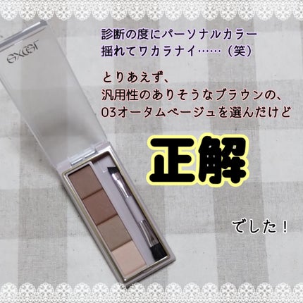 カラーエディットパウダーブロウ/excel/パウダーアイブロウを使ったクチコミ(2枚目)
