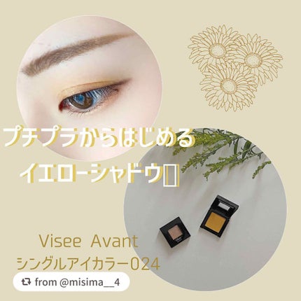 ヴィセ アヴァン シングルアイカラー/Visée/単色アイシャドウを使ったクチコミ(1枚目)