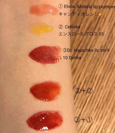 Dr. Hauschka 
Lipstick 10 Dahlia

ドイツで安く買えた。日本だと3800円くらいで、原産国のドイツだと3000円くらい？かな？あやふやだけどとにかく買いやすい価格だし、B