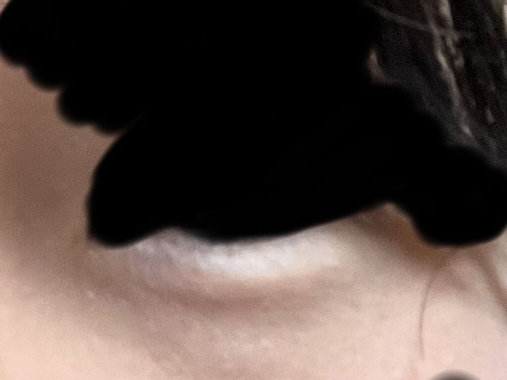 パレットコンシーラー/CEZANNE/パレットコンシーラーを使ったクチコミ（2枚目）