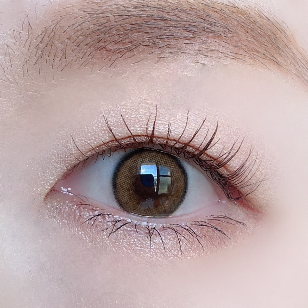 born to be kristin/Hapa kristin/カラーコンタクトレンズを使ったクチコミ（2枚目）