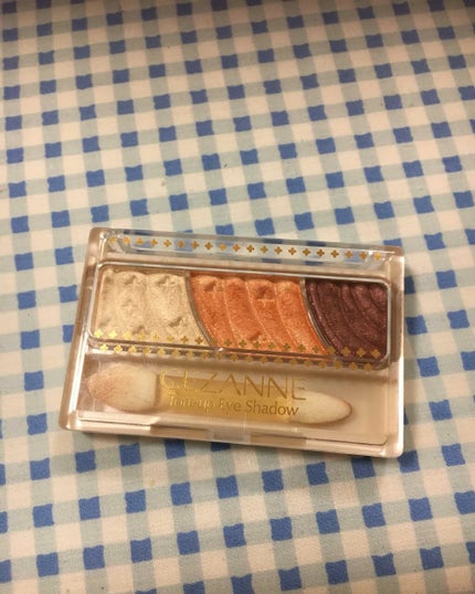 トーンアップアイシャドウ/CEZANNE/アイシャドウパレットを使ったクチコミ(1枚目)