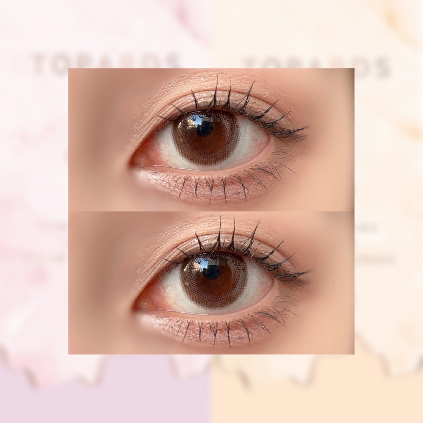 TOPARDS 1day/TOPARDS/ワンデー(1DAY)カラコンを使ったクチコミ(5枚目)