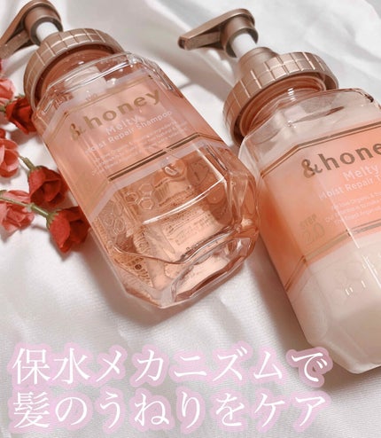 &honey Melty モイストリペア シャンプー1.0/モイストリペア ヘアトリートメント2.0/&honey/市販シャンプーを使ったクチコミ(1枚目)