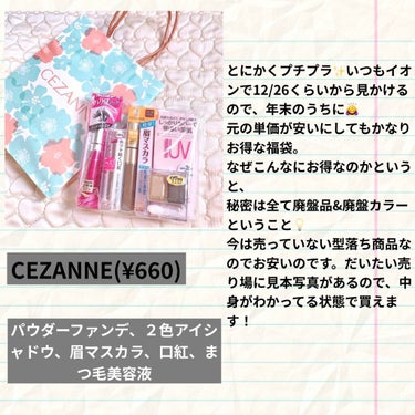 福袋 2021/CEZANNE/メイクアップキットを使ったクチコミ（4枚目）