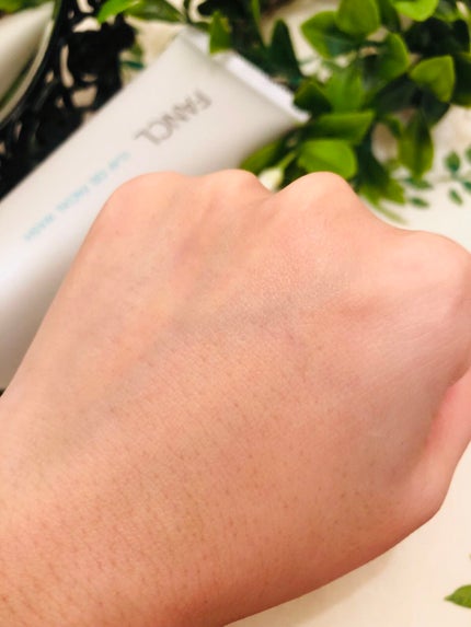 泥ジェル洗顔/ファンケル/その他洗顔料を使ったクチコミ(5枚目)