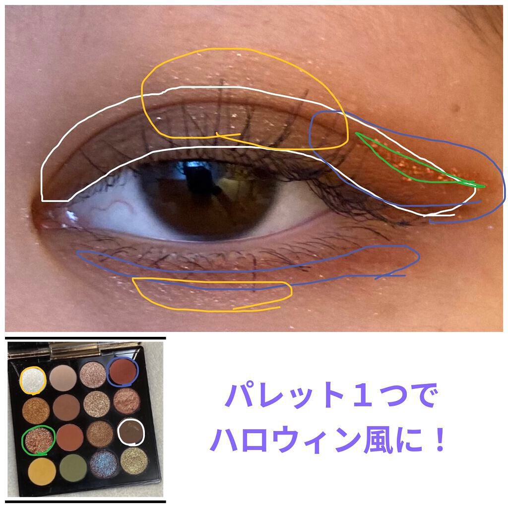 大英博物館 エジプトシリーズ アイシャドウパレット/ZEESEA/アイシャドウパレットを使ったクチコミ(3枚目)