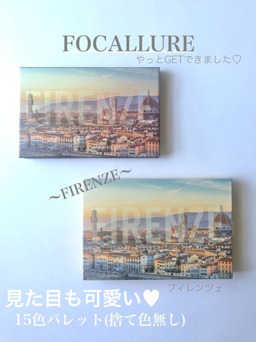 GO TRAVEL 15色アイシャドウパレット/FOCALLURE/パウダーアイシャドウを使ったクチコミ（1枚目）