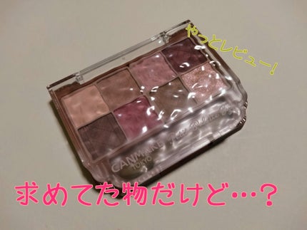 プティパレットアイズ(マットタイプ)/キャンメイク/パウダーアイシャドウを使ったクチコミ(1枚目)