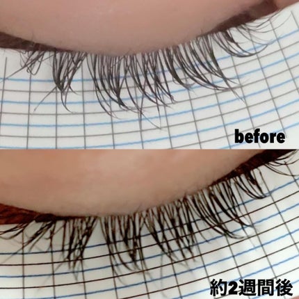 Eyebrow&Eyelash Serum/NUNSSUP JARA/まつげ美容液を使ったクチコミ(3枚目)