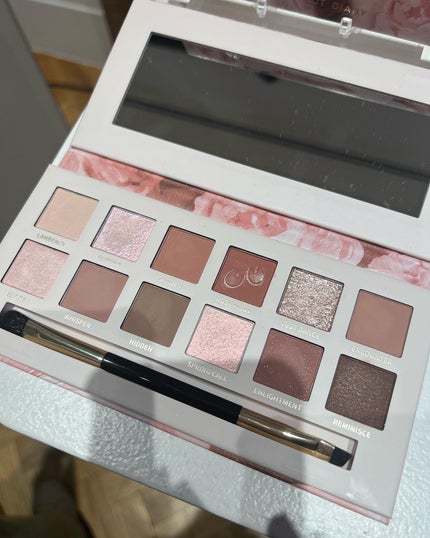 エクスプローラ12色 動物アイシャドウパレット/PERFECT DIARY/アイシャドウパレットを使ったクチコミ(3枚目)