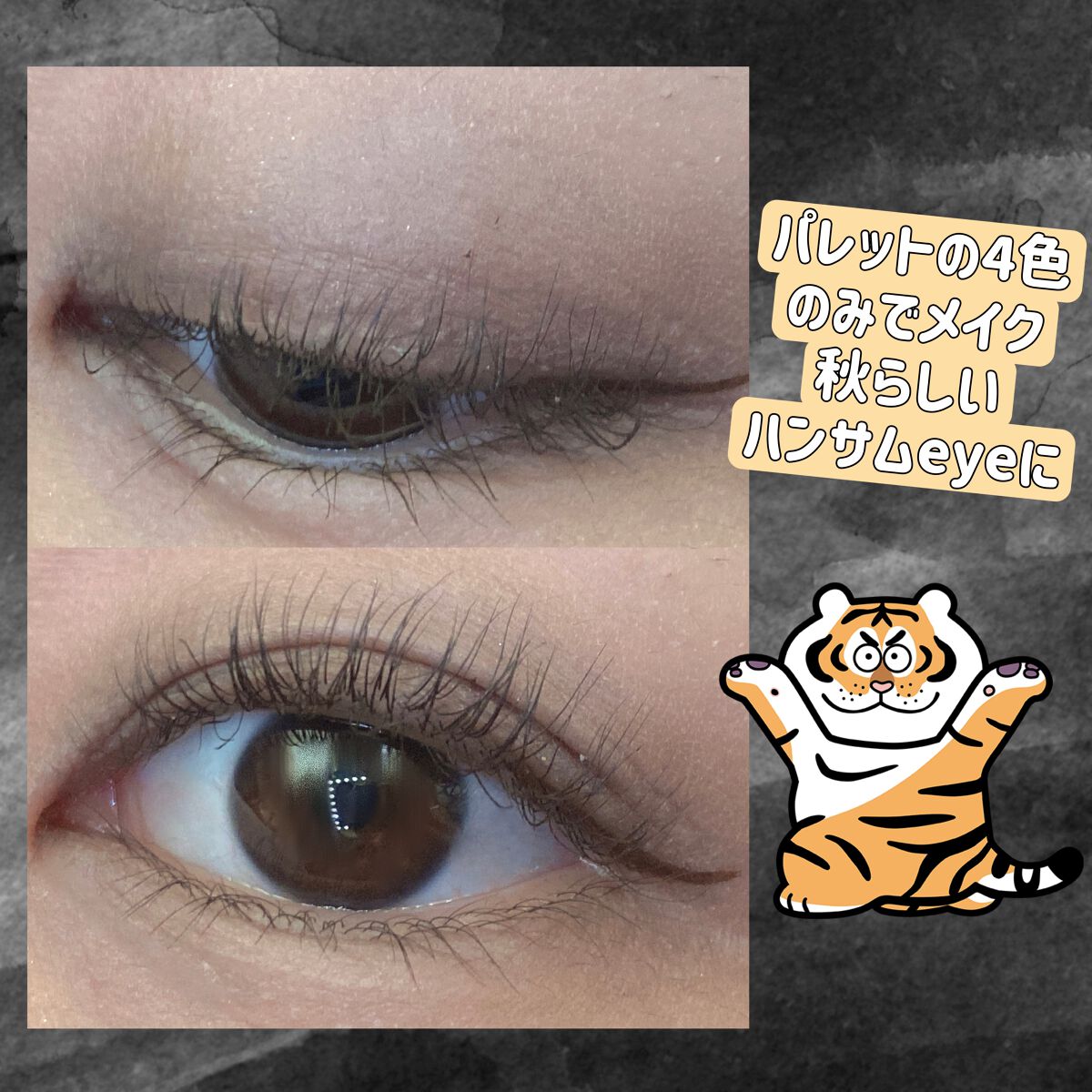 ニュアンス マット クリエイター/Visée/アイシャドウパレットを使ったクチコミ(4枚目)