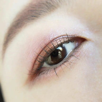 シグニチャー カラー アイズ/SUQQU/アイシャドウパレットを使ったクチコミ(2枚目)