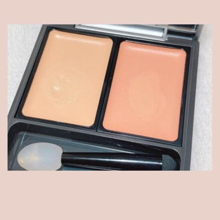 &be ファンシーラー/&be/パレットコンシーラーを使ったクチコミ(2枚目)