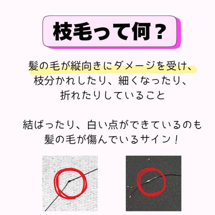 ã䜿ã£ãã¯ãã³ãïŒ2æç®ïŒ