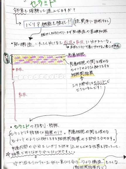 リポソーム アドバンスト リペアセラム/DECORTÉ/美容液を使ったクチコミ(1枚目)