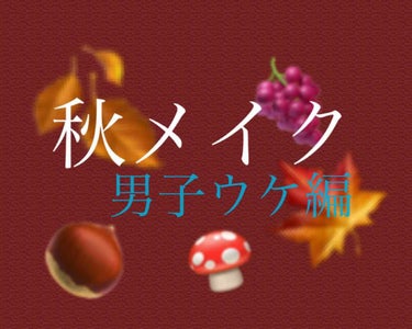 こんにちは！
み  です

今回は男子ウケ秋メイクを紹介します！

前回投稿した女子ウケ秋メイクも良かったら見てください💗

⥤アイメイク

使用したコスメ
❥アディクション
ザ  アイシャドウ 087