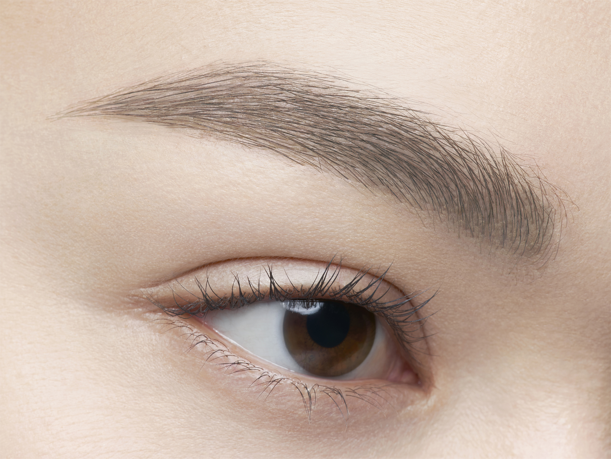 ケイト 3DアイブロウカラーZ GY-3 アイスグレージュ(限定)