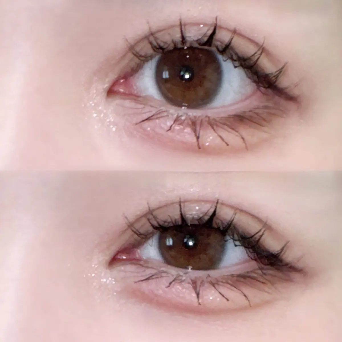 プランぷくコーデアイズ/キャンメイク/パウダーアイシャドウを使ったクチコミ（3枚目）