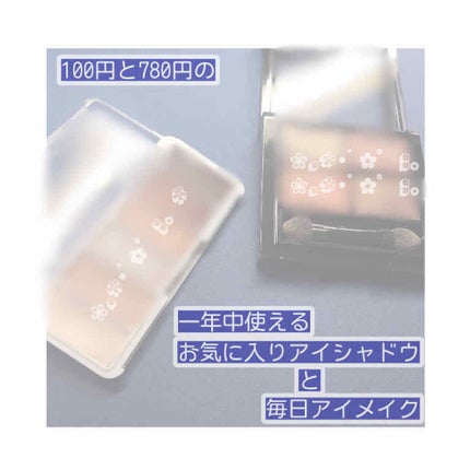 カラーブレンドアイズ/マリブビューティー/アイシャドウパレットを使ったクチコミ(1枚目)