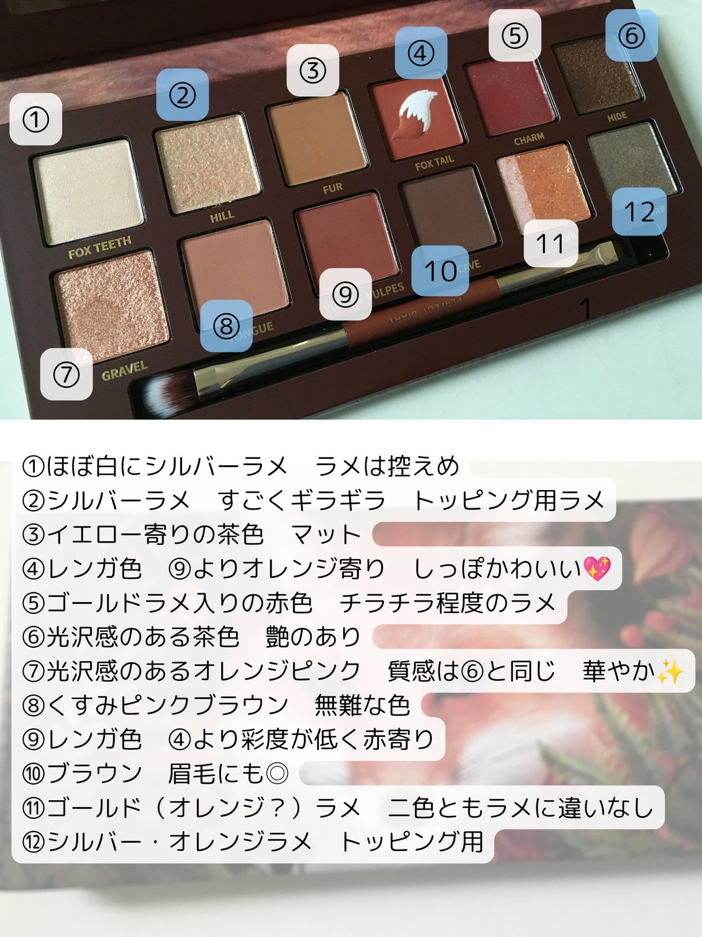 エクスプローラ12色 動物アイシャドウパレット/PERFECT DIARY/アイシャドウパレットを使ったクチコミ(3枚目)