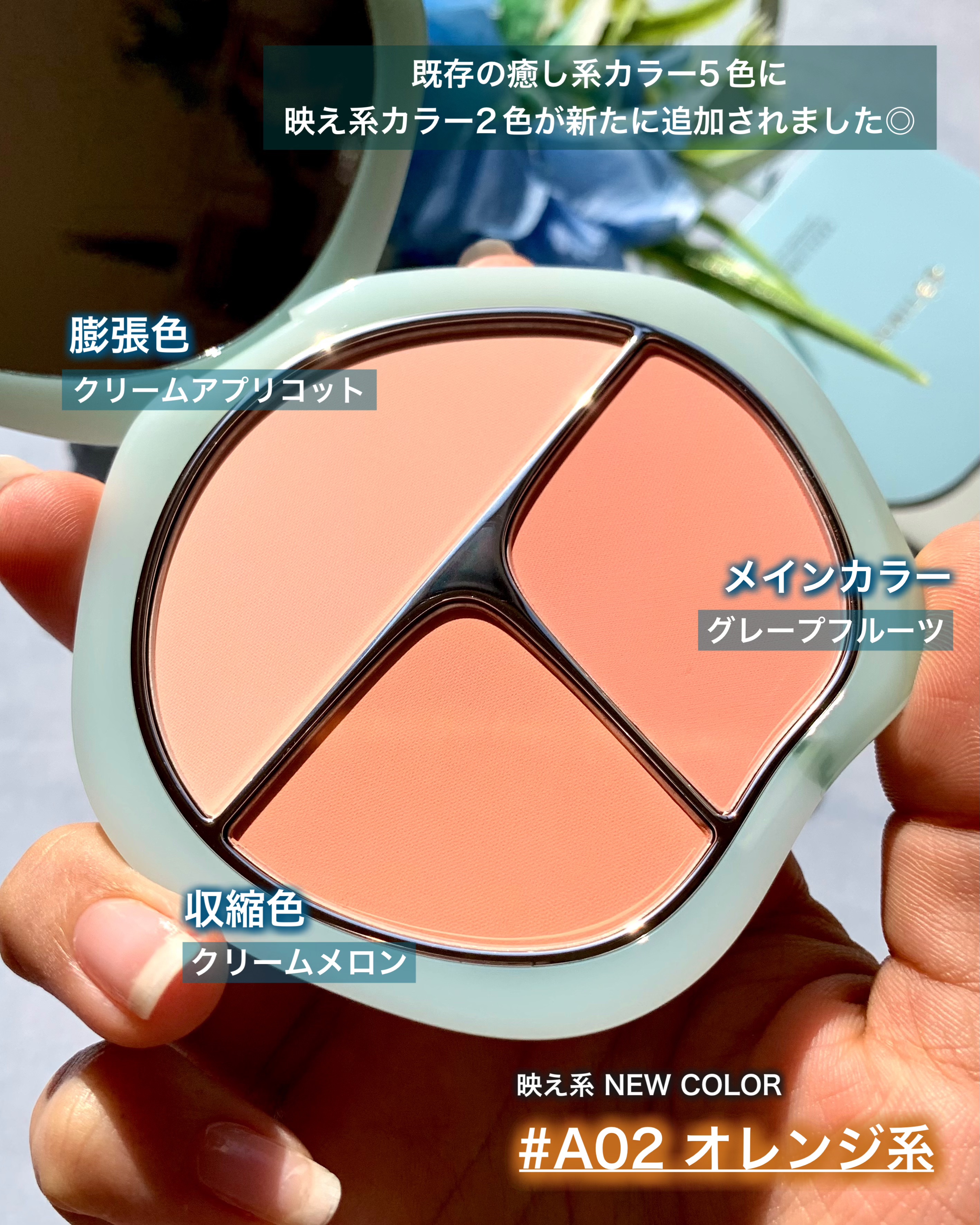 TIMAGE  3色チークパレット/TIMAGE/パウダーチークを使ったクチコミ（3枚目）